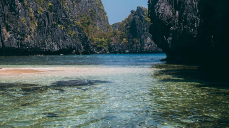 Le ultime tendenze nel mondo del gelato: cosa aspettarsi nel 2023