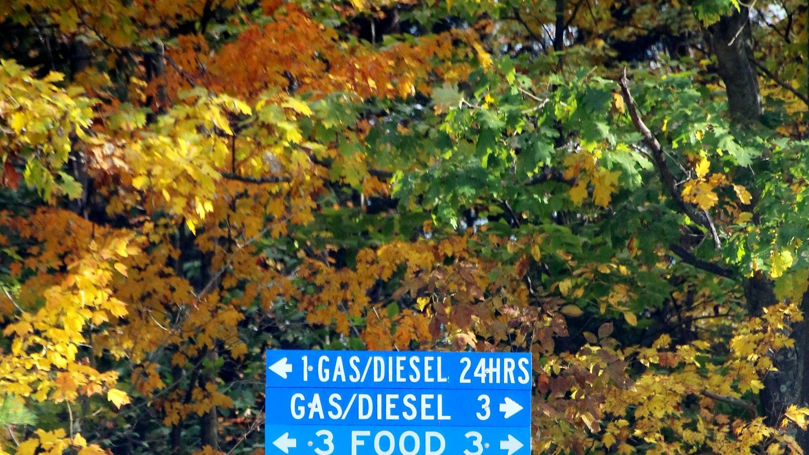 Le 5 attrezzature must-have per la produzione di gelato di alta qualità