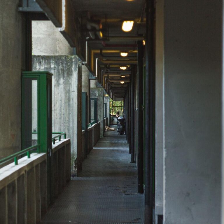 Flashy e delizioso: esplorare le nuove attrezzature di FLASHMACHINES