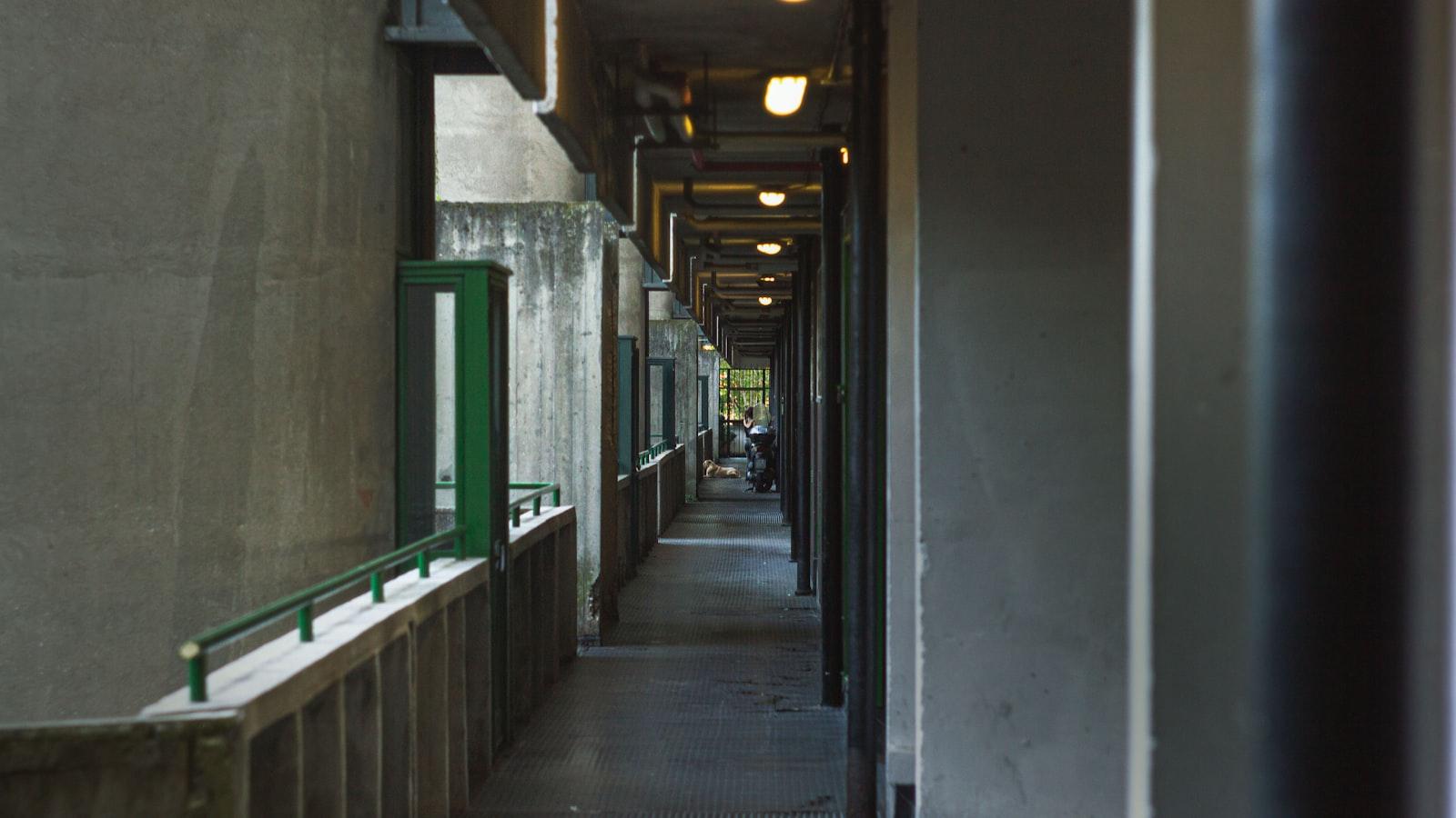 Flashy e delizioso: esplorare le nuove attrezzature di FLASHMACHINES